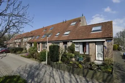 Afbeelding 1 van 1