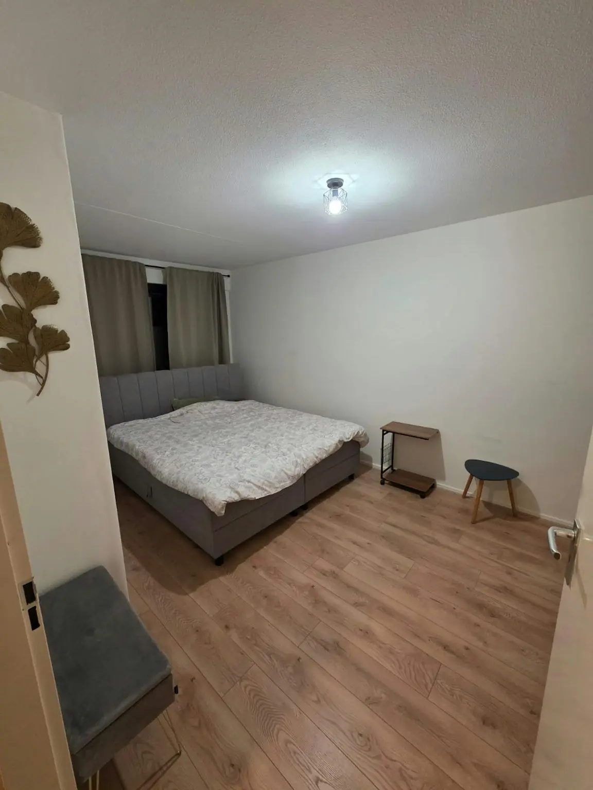 Image 4 of 25