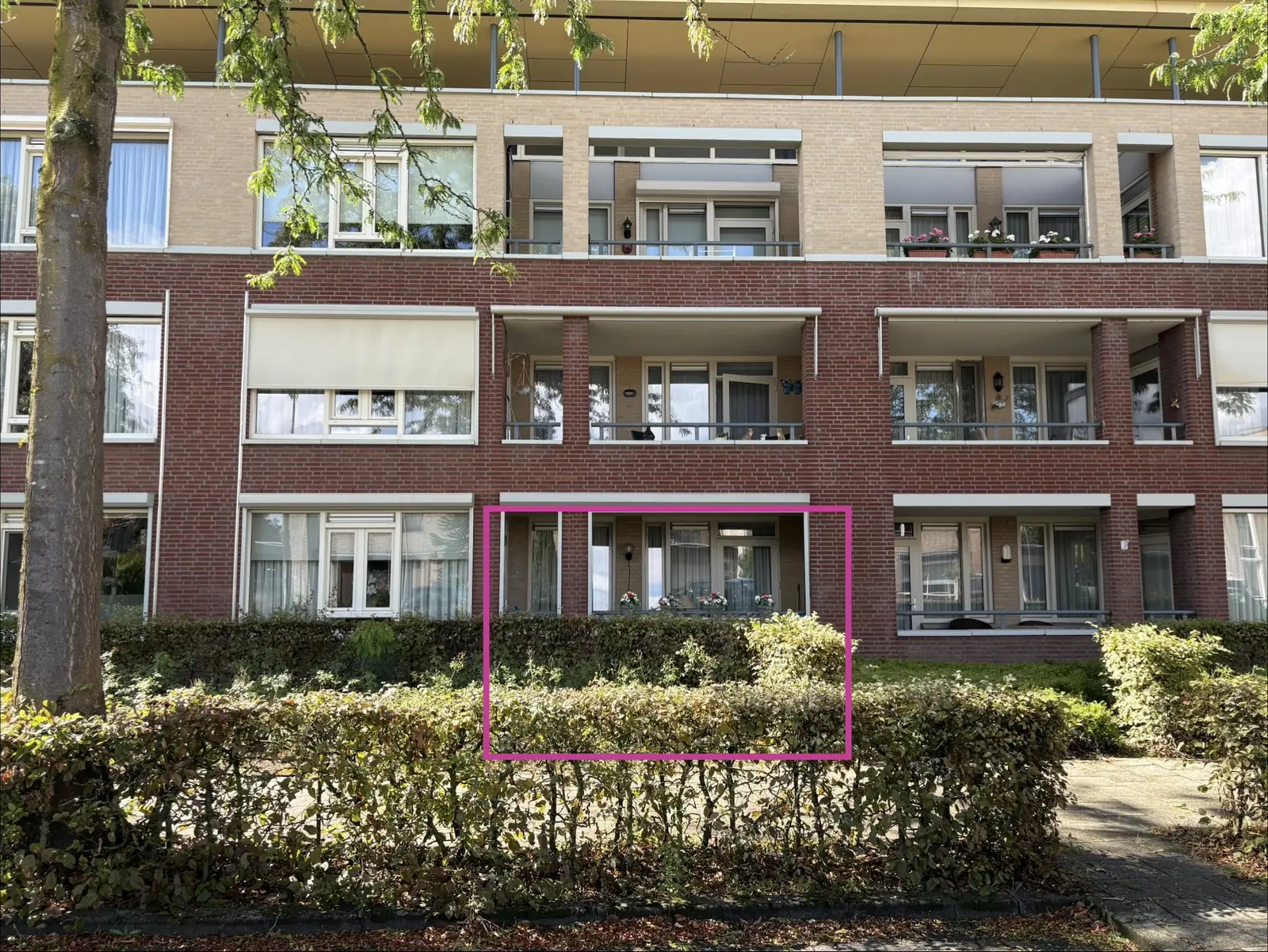 Image 1 of 5