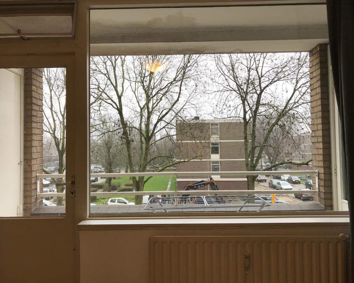 Bild 3 von 9