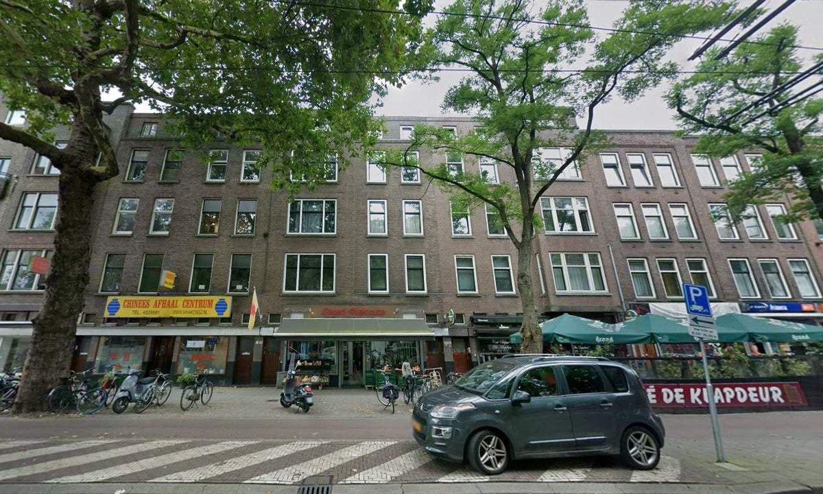 Afbeelding 1 van 12