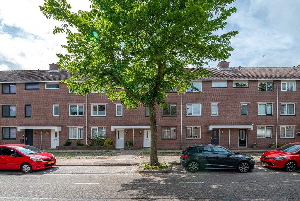 Afbeelding 1 van 40