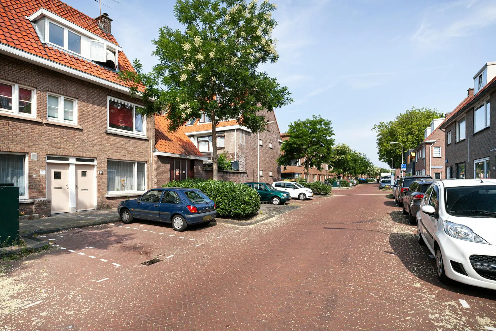 Afbeelding 8 van 24