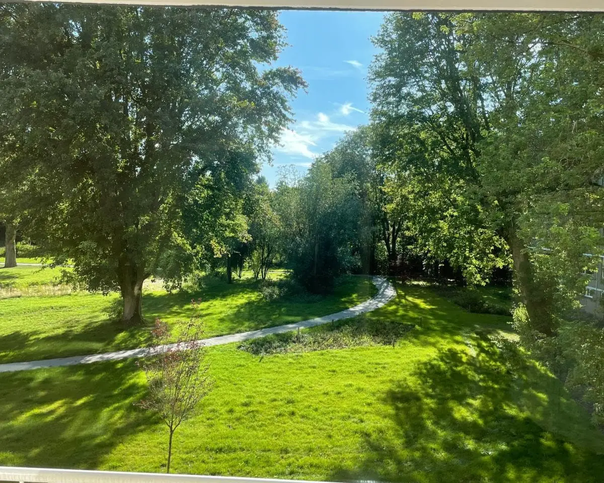 Image 7 of 8
