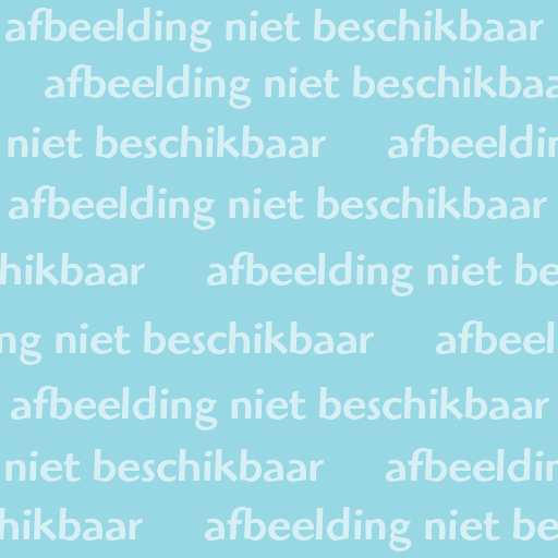 Afbeelding 1 van 1