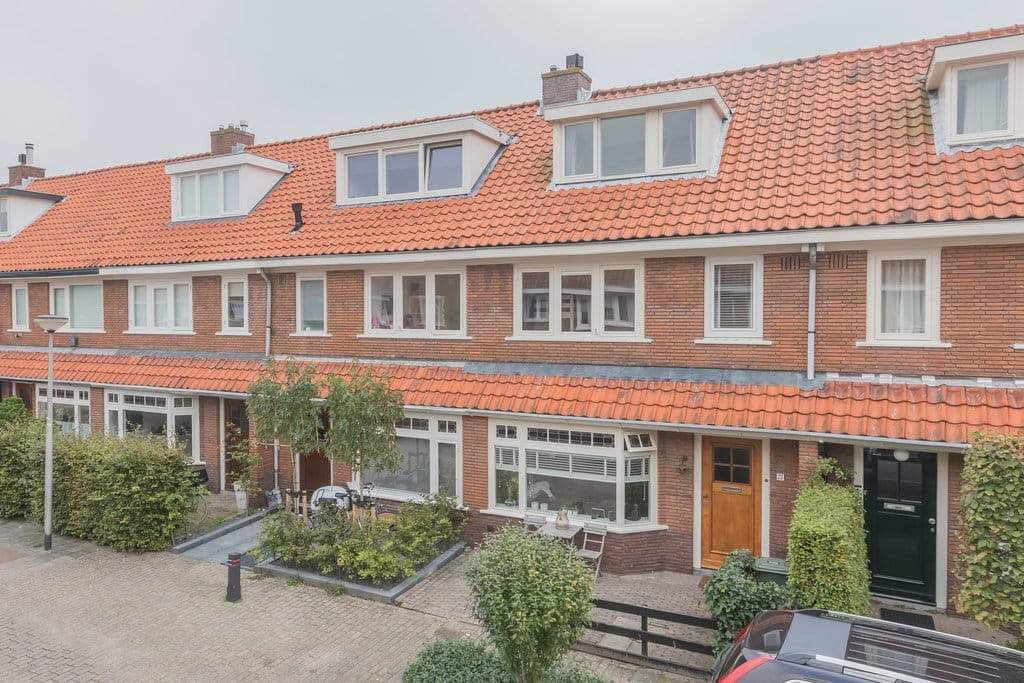 Afbeelding 1 van 12
