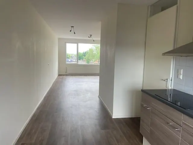 Image 4 of 6