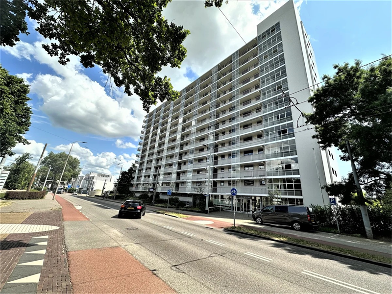Afbeelding 24 van 30