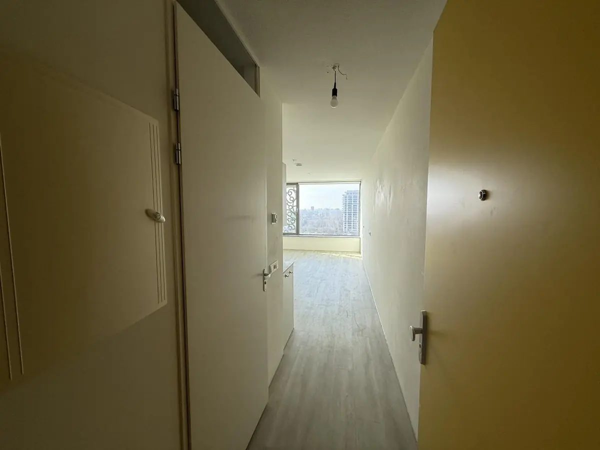 Image 7 of 15