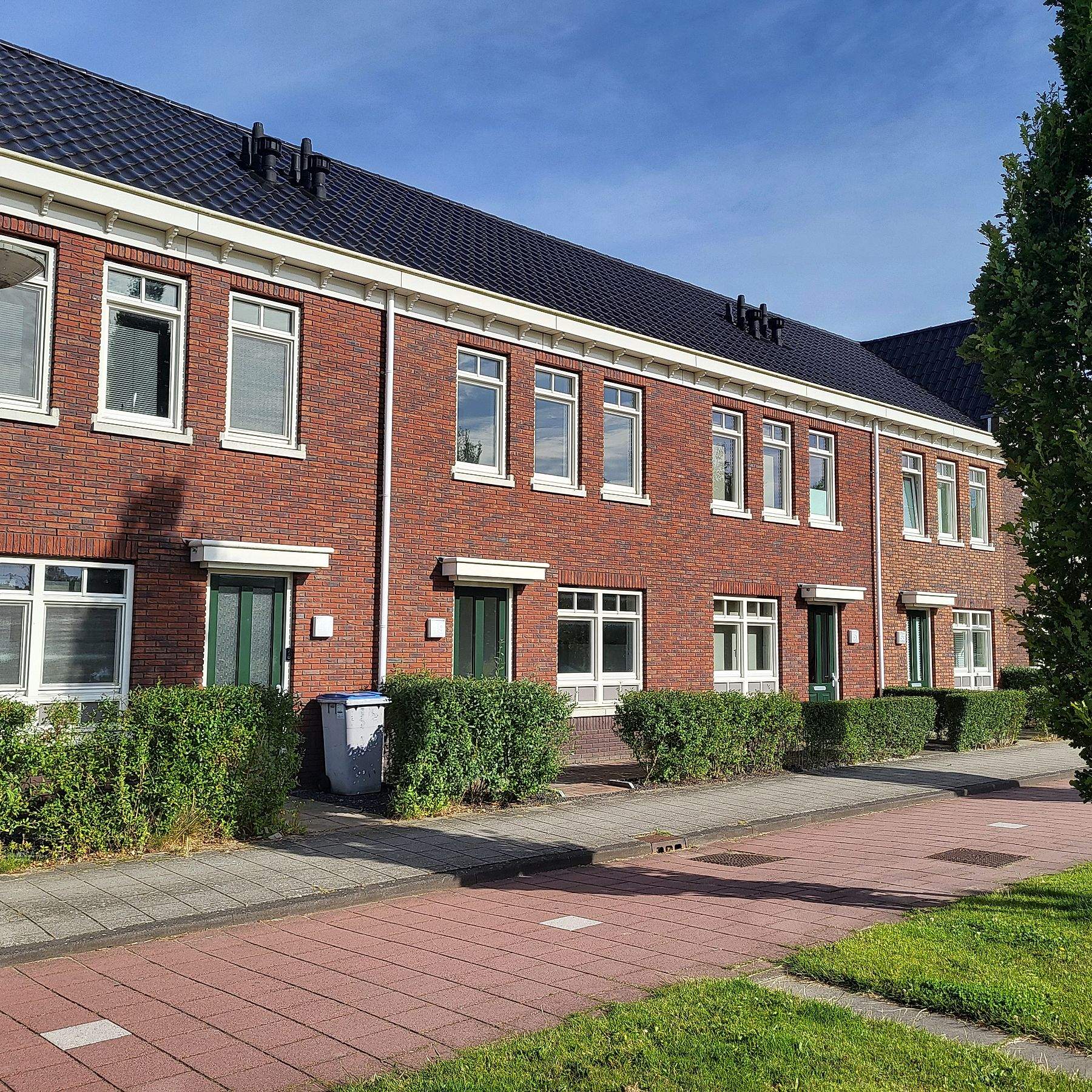 Afbeelding 1 van 8