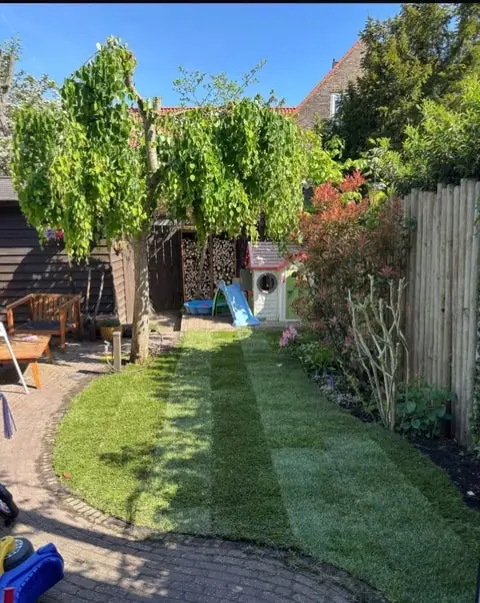 Image 12 of 12