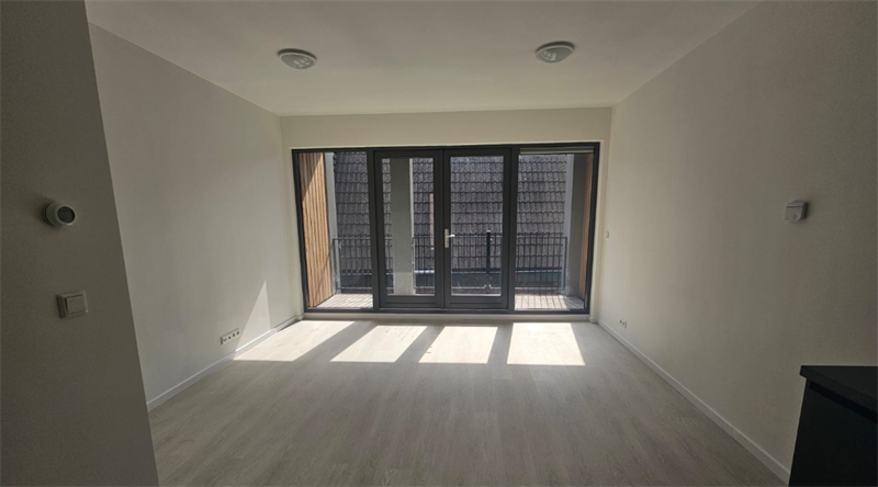 Image 1 of 14
