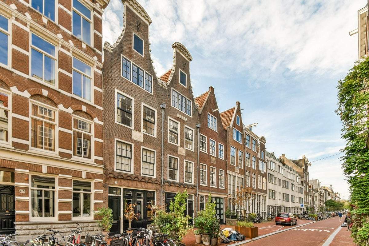 Afbeelding 1 van 36