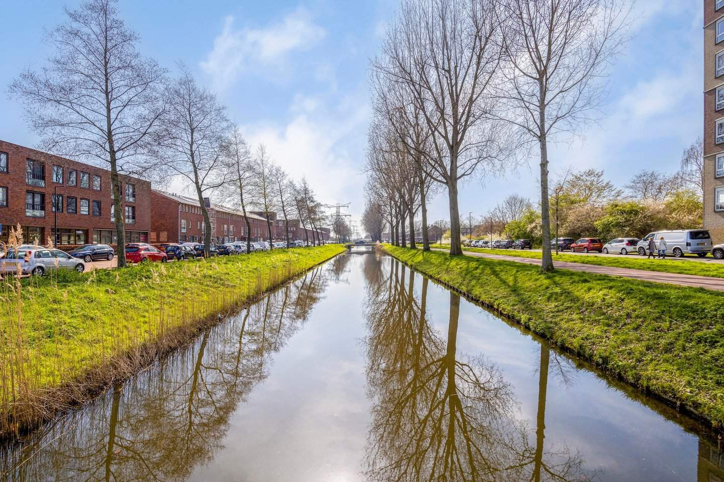 Afbeelding 3 van 10