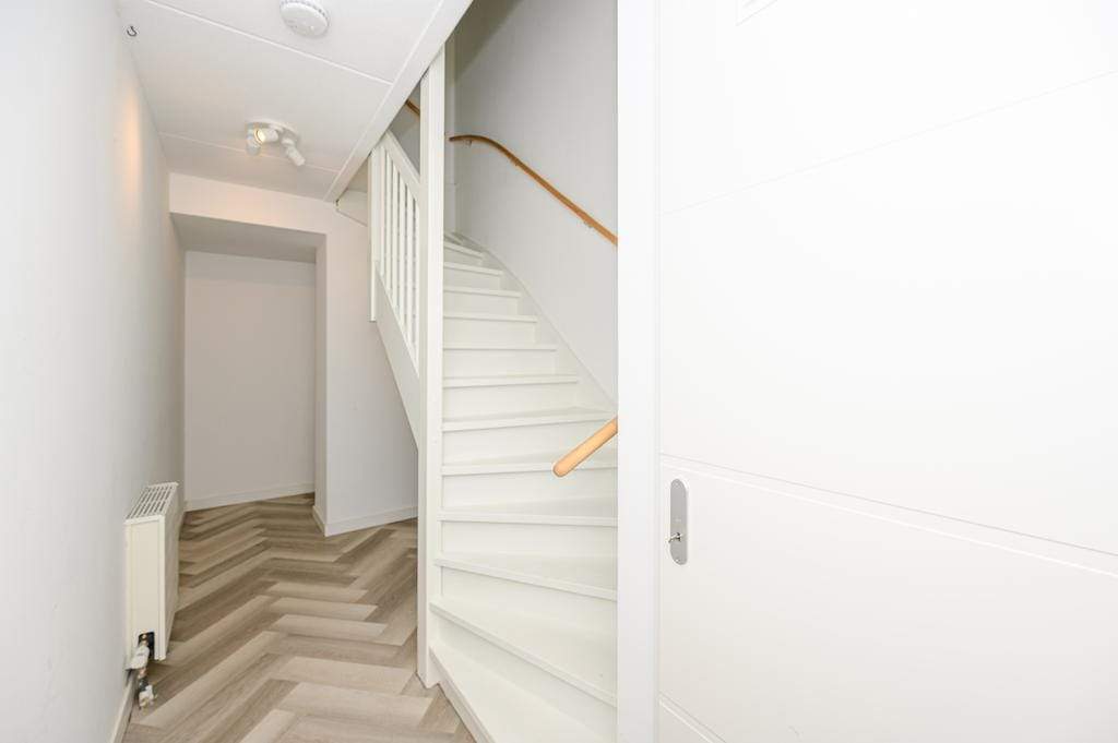 Bild 2 von 12