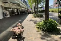 Afbeelding 4 van 5