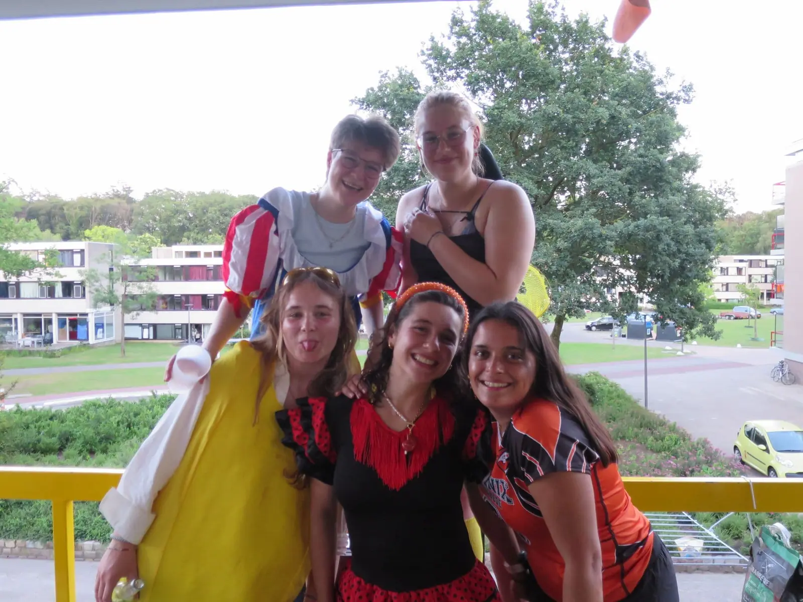 Afbeelding 2 van 9