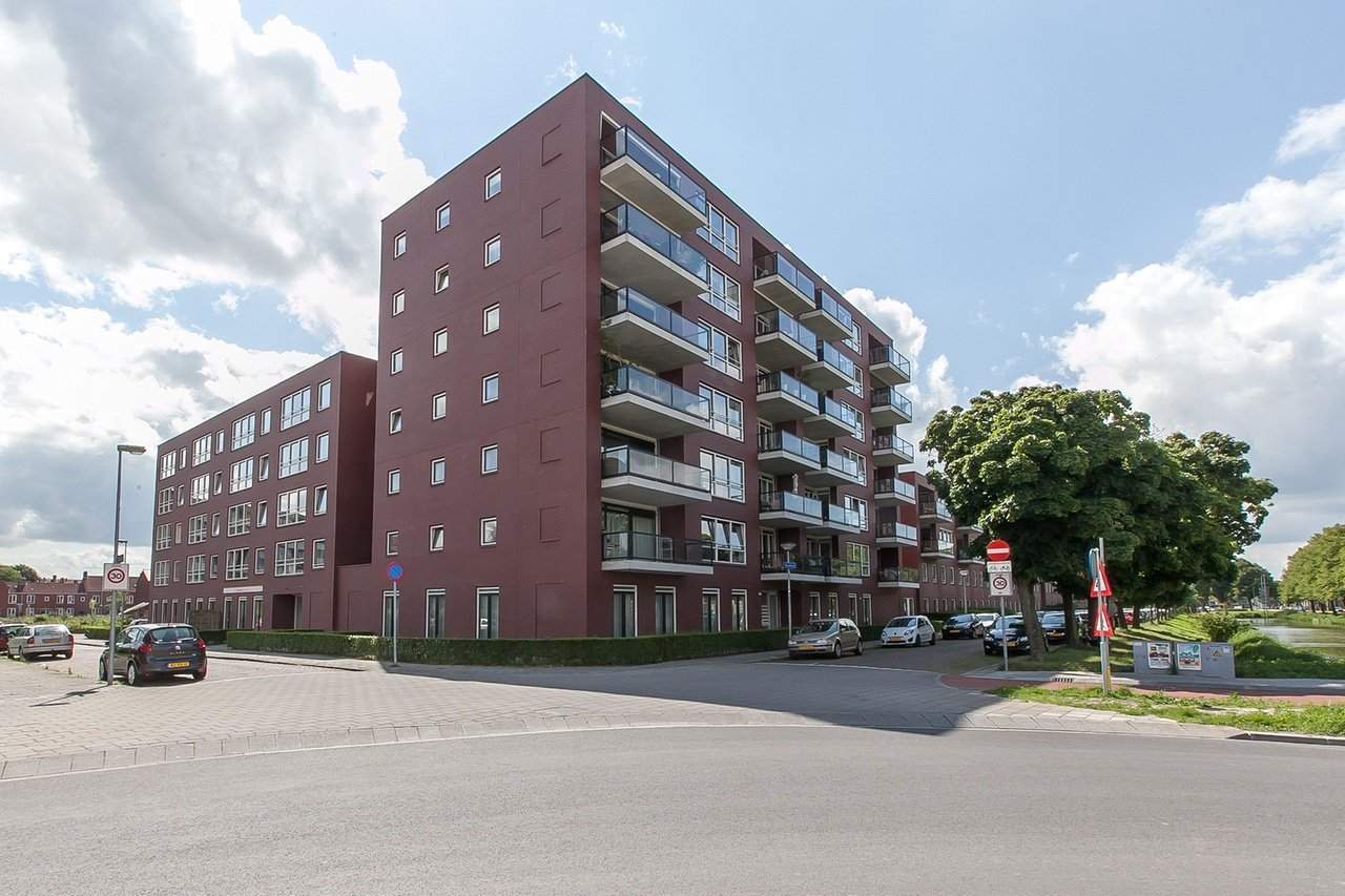 Afbeelding 1 van 12
