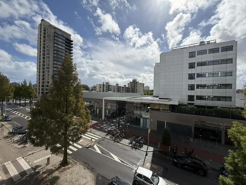 Image 9 of 15