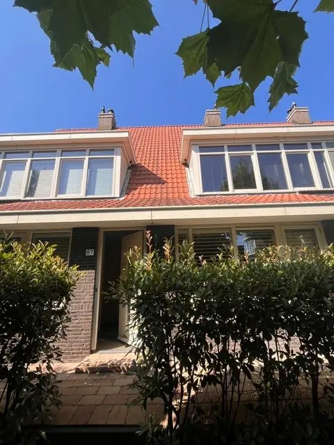 Afbeelding 3 van 20