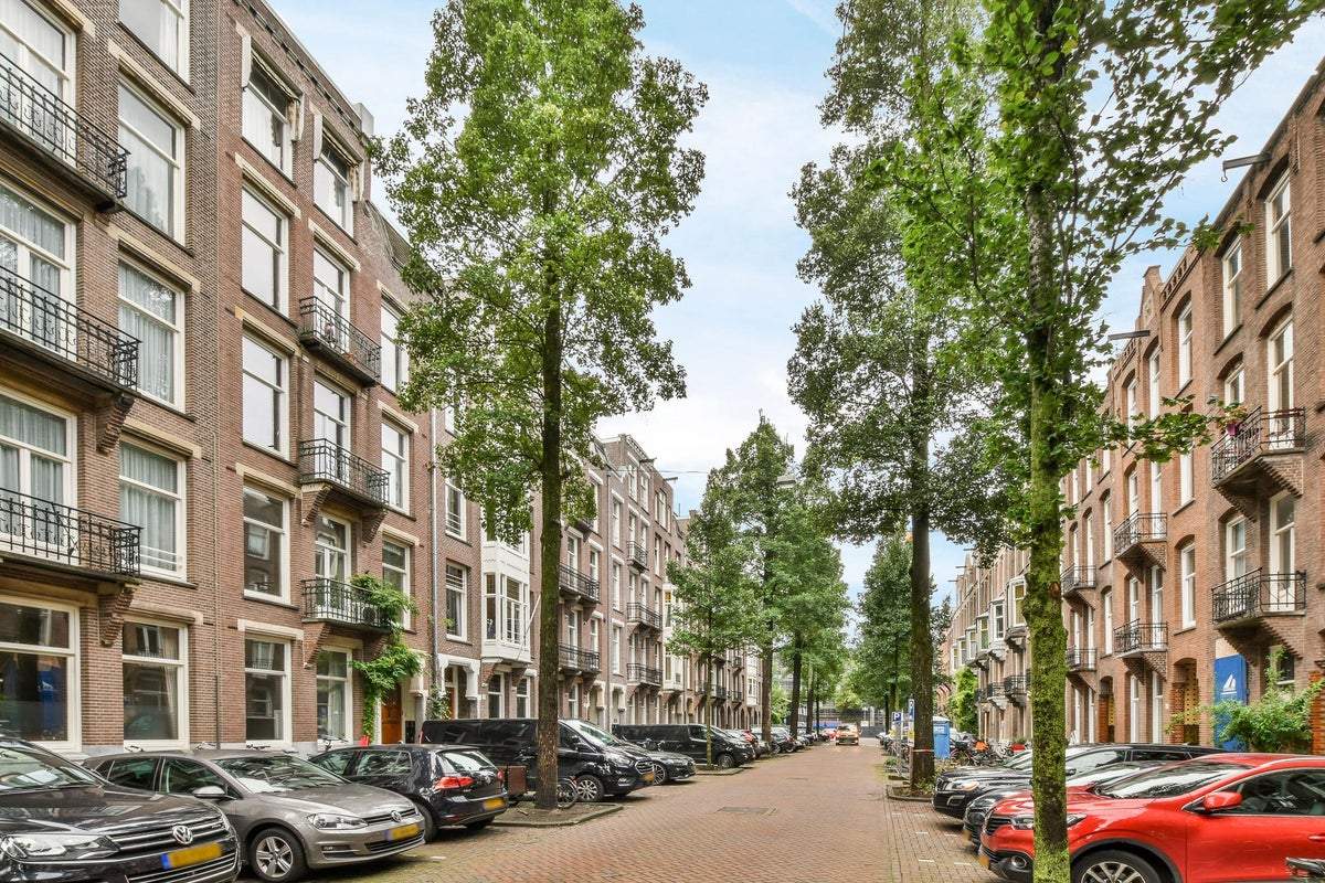 Afbeelding 2 van 49