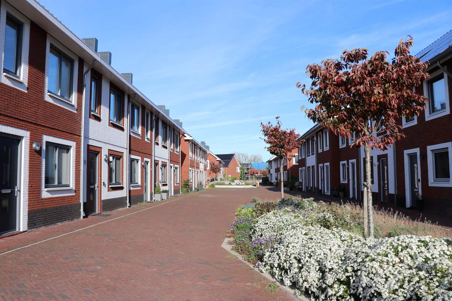 Afbeelding 2 van 5
