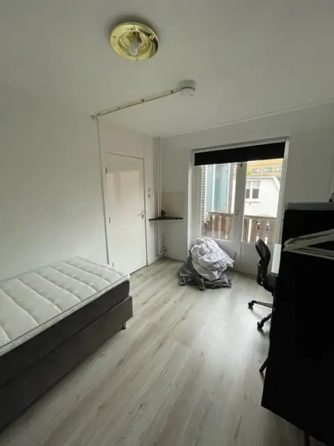 Image 7 sur 7