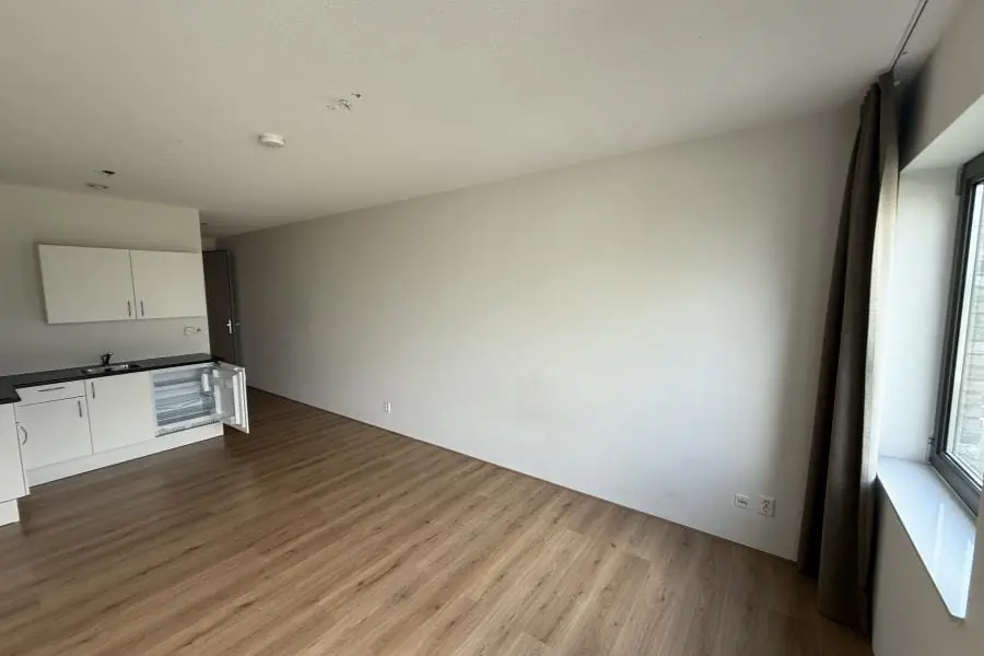 Image 10 of 20
