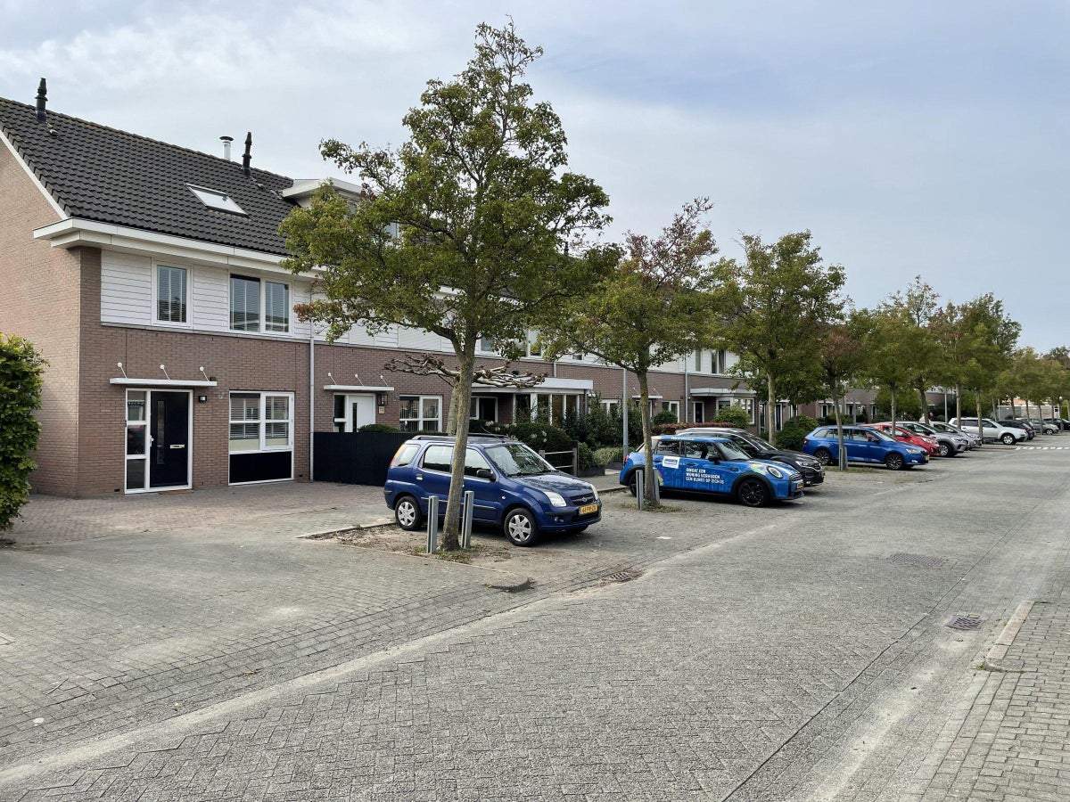 Afbeelding 3 van 34