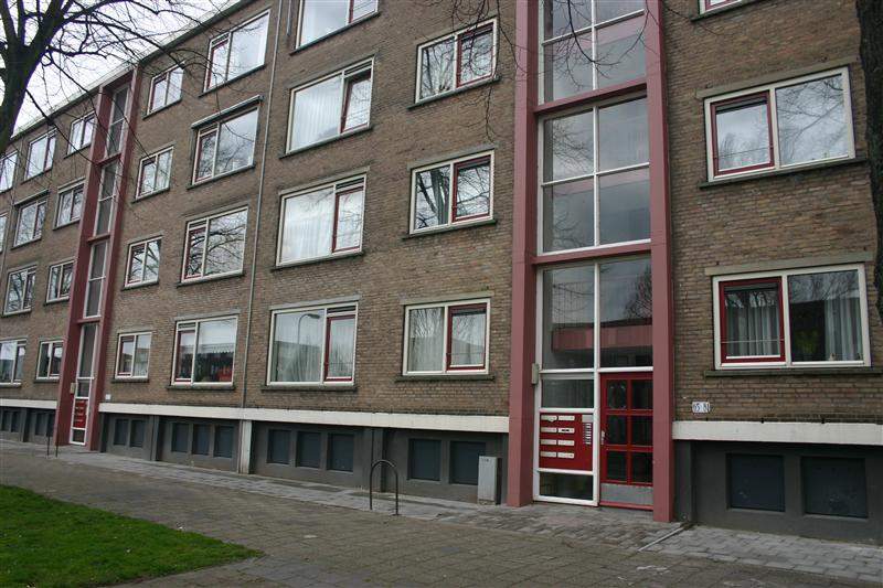 Afbeelding 1 van 1