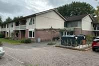 Bild 3 von 9