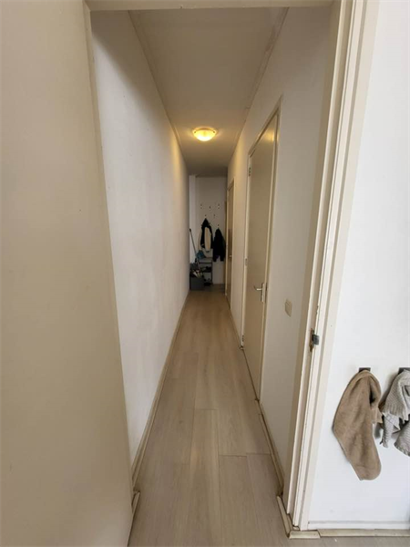 Bild 2 von 12
