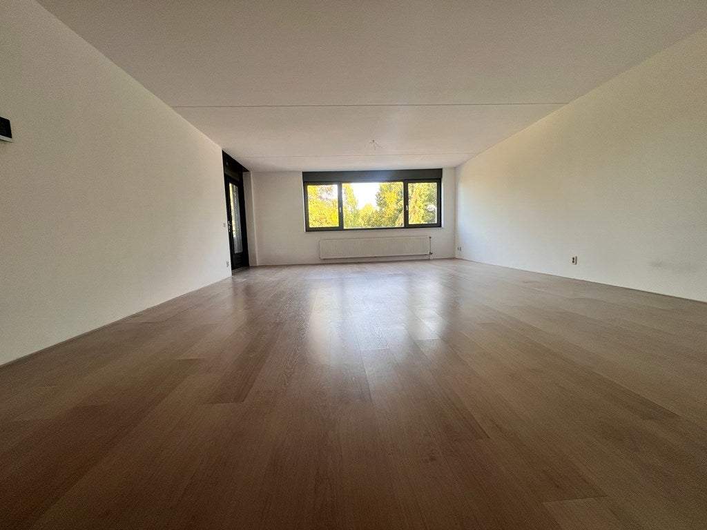 Bild 3 von 12