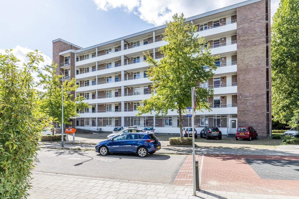 Afbeelding 1 van 19