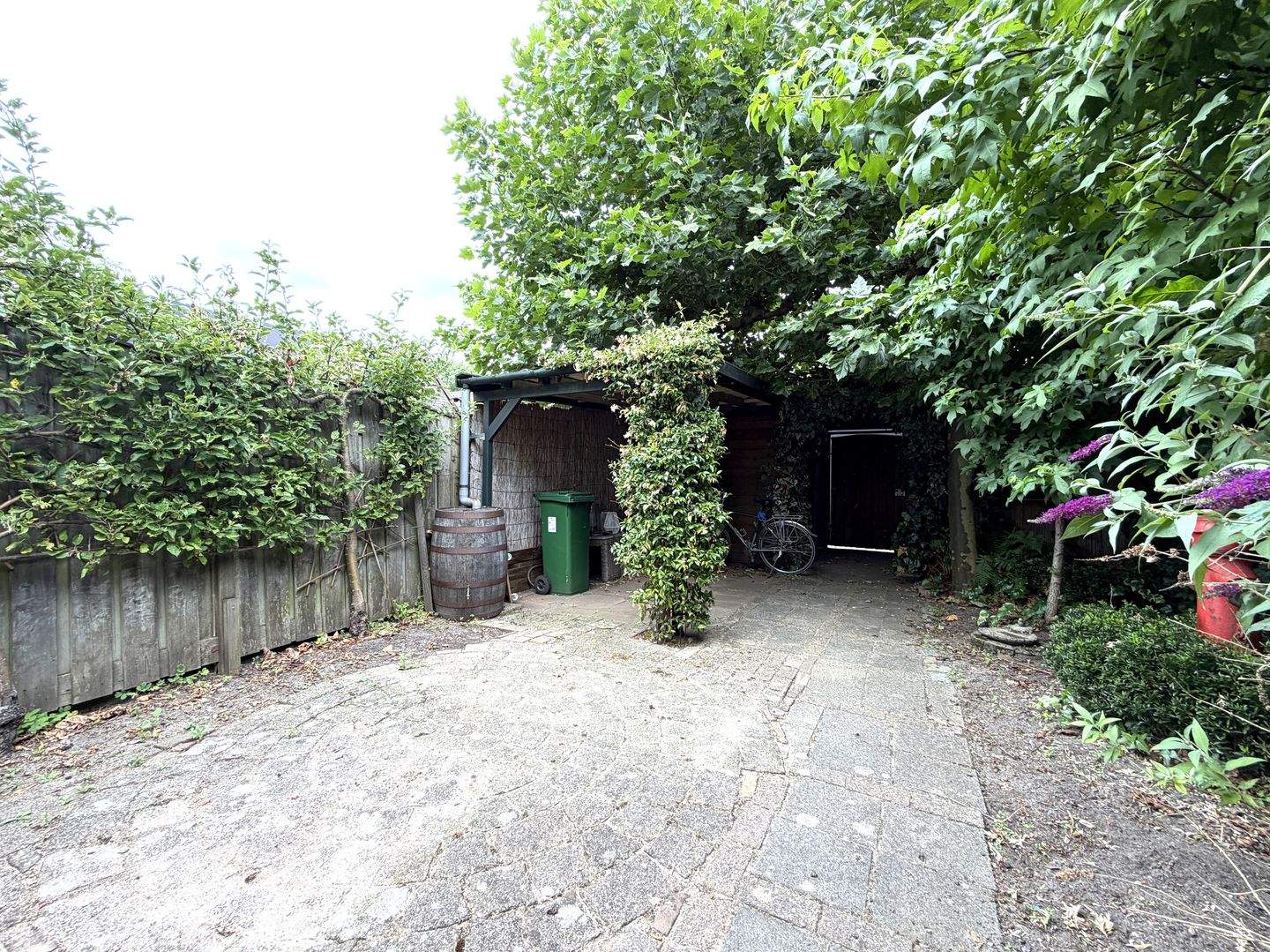 Image 14 of 14
