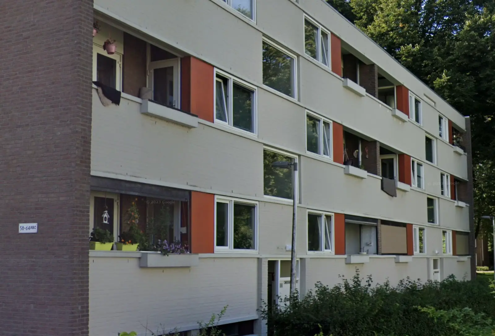 Afbeelding 1 van 1