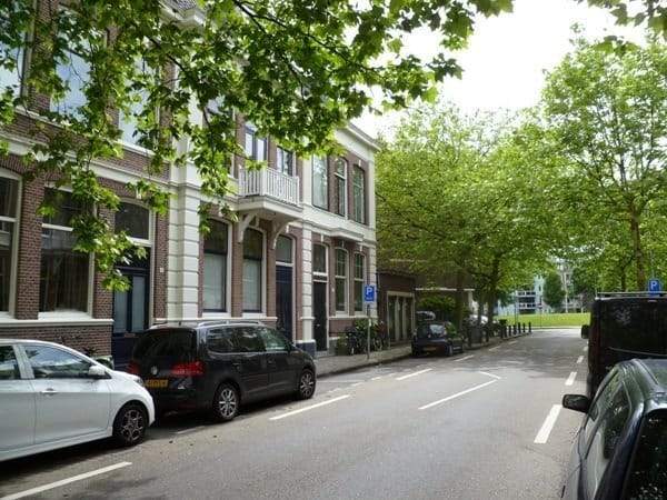 Afbeelding 2 van 12