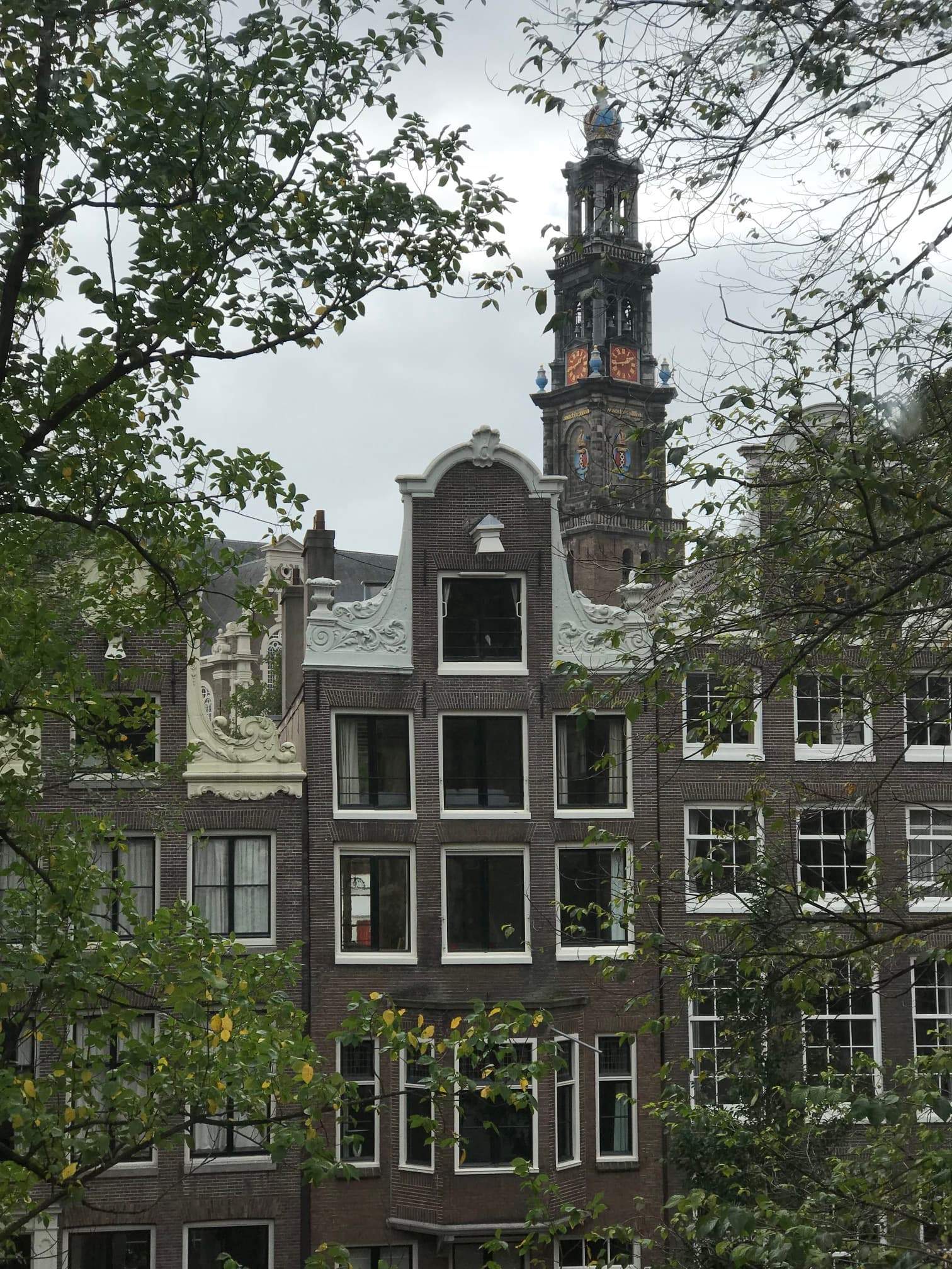 Afbeelding 10 van 10