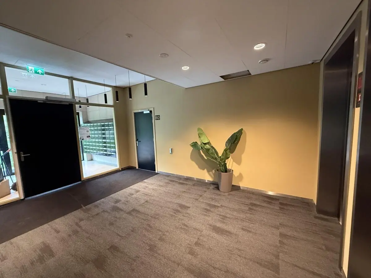 Image 8 of 15