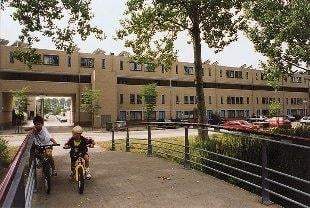 Afbeelding 1 van 10