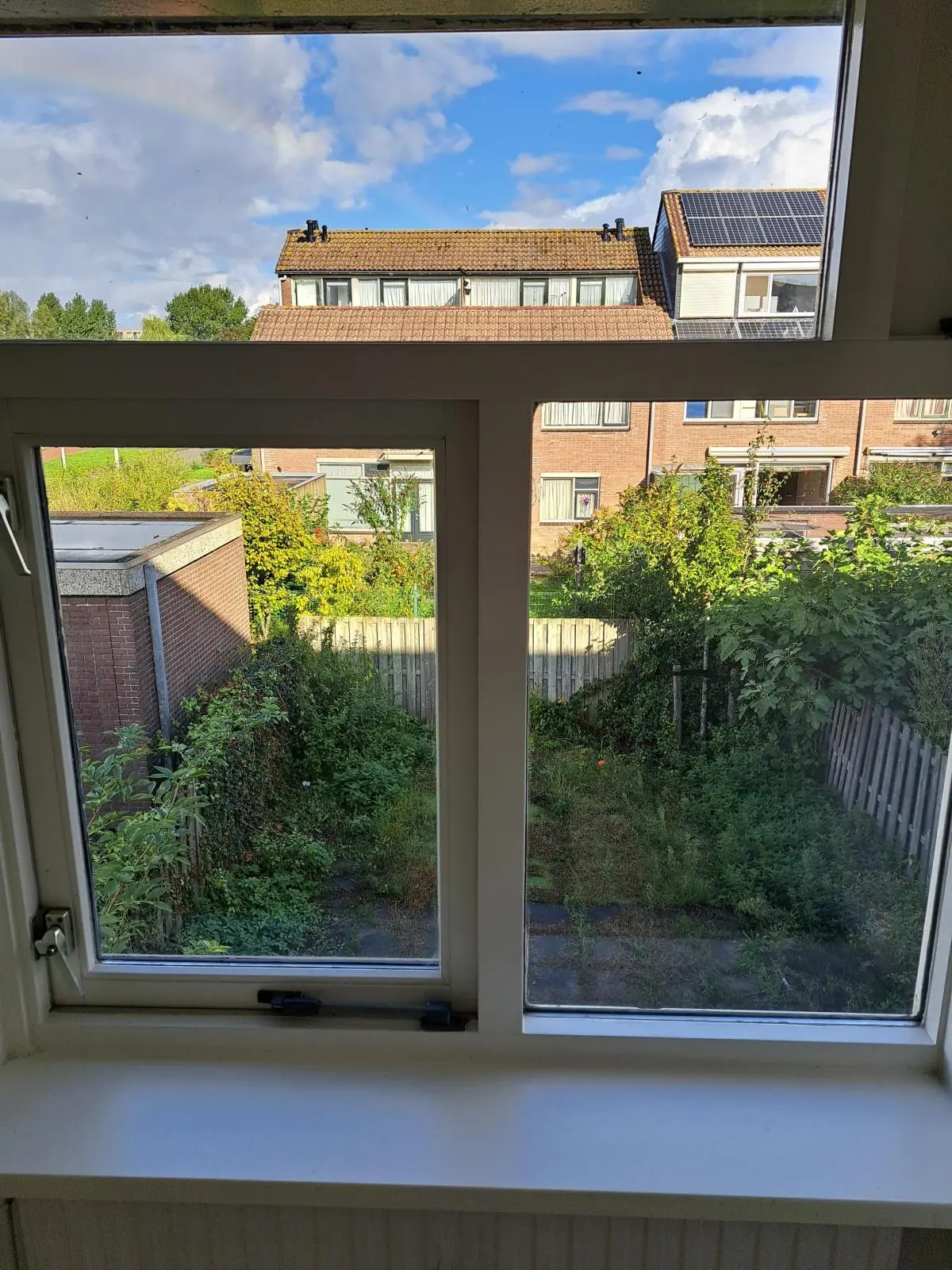 Afbeelding 25 van 30