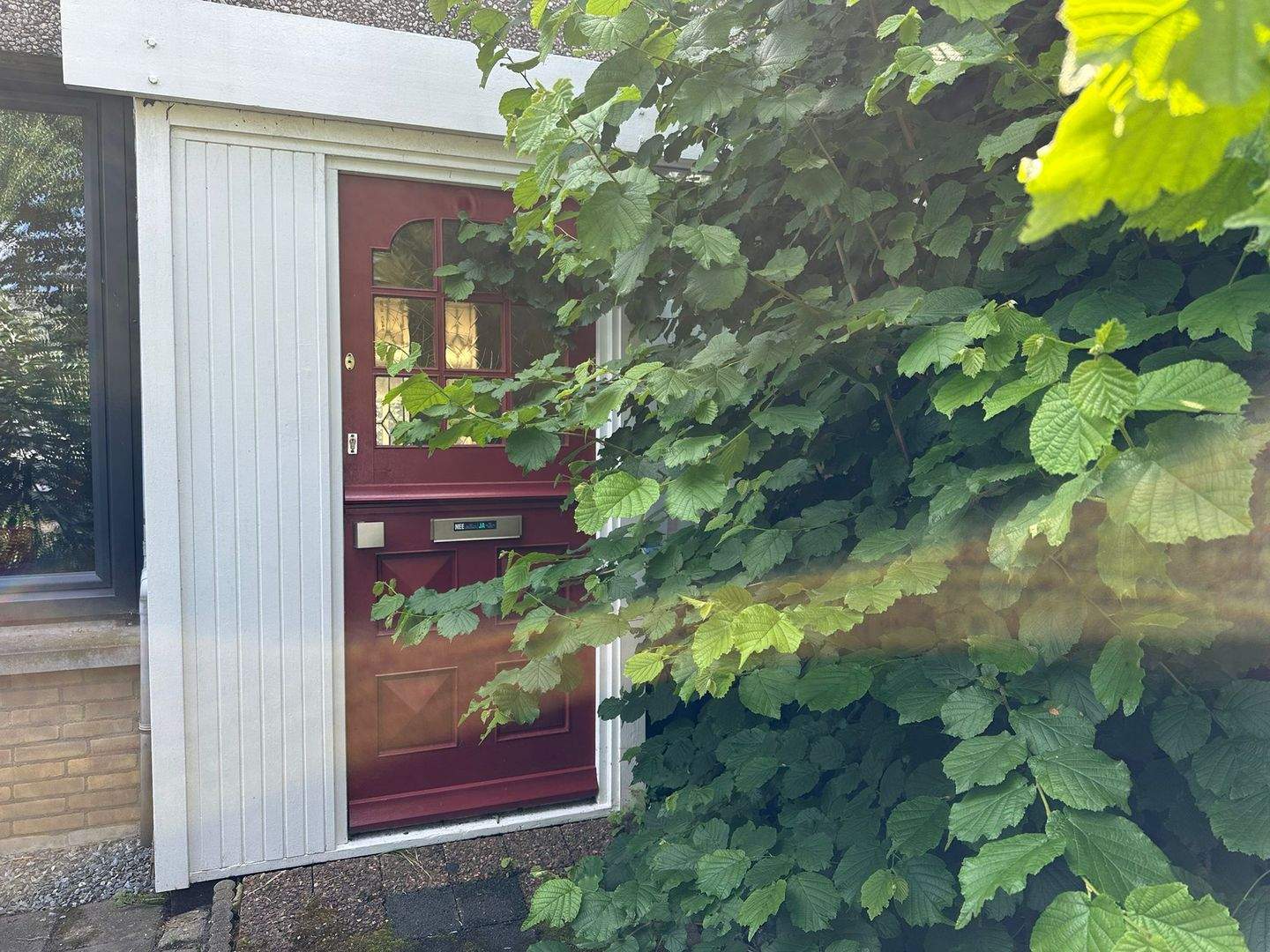 Image 2 of 12