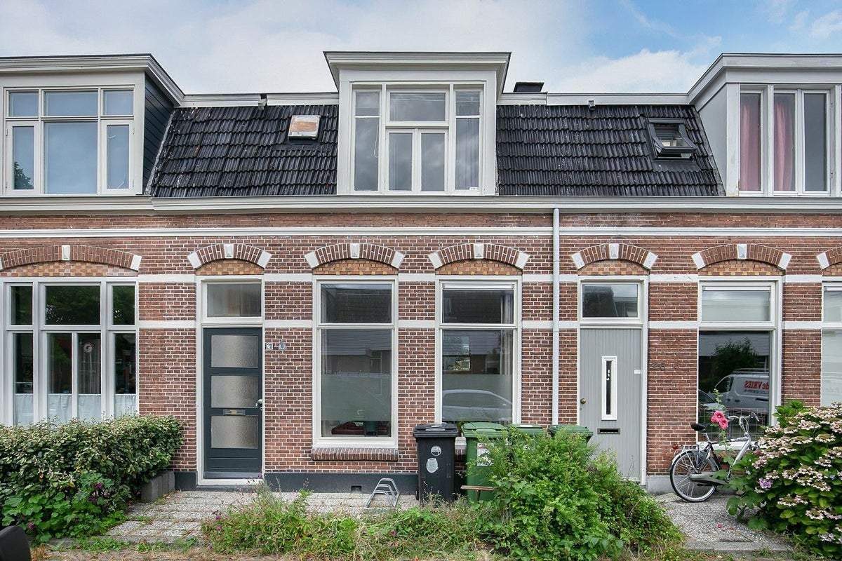 Afbeelding 1 van 22
