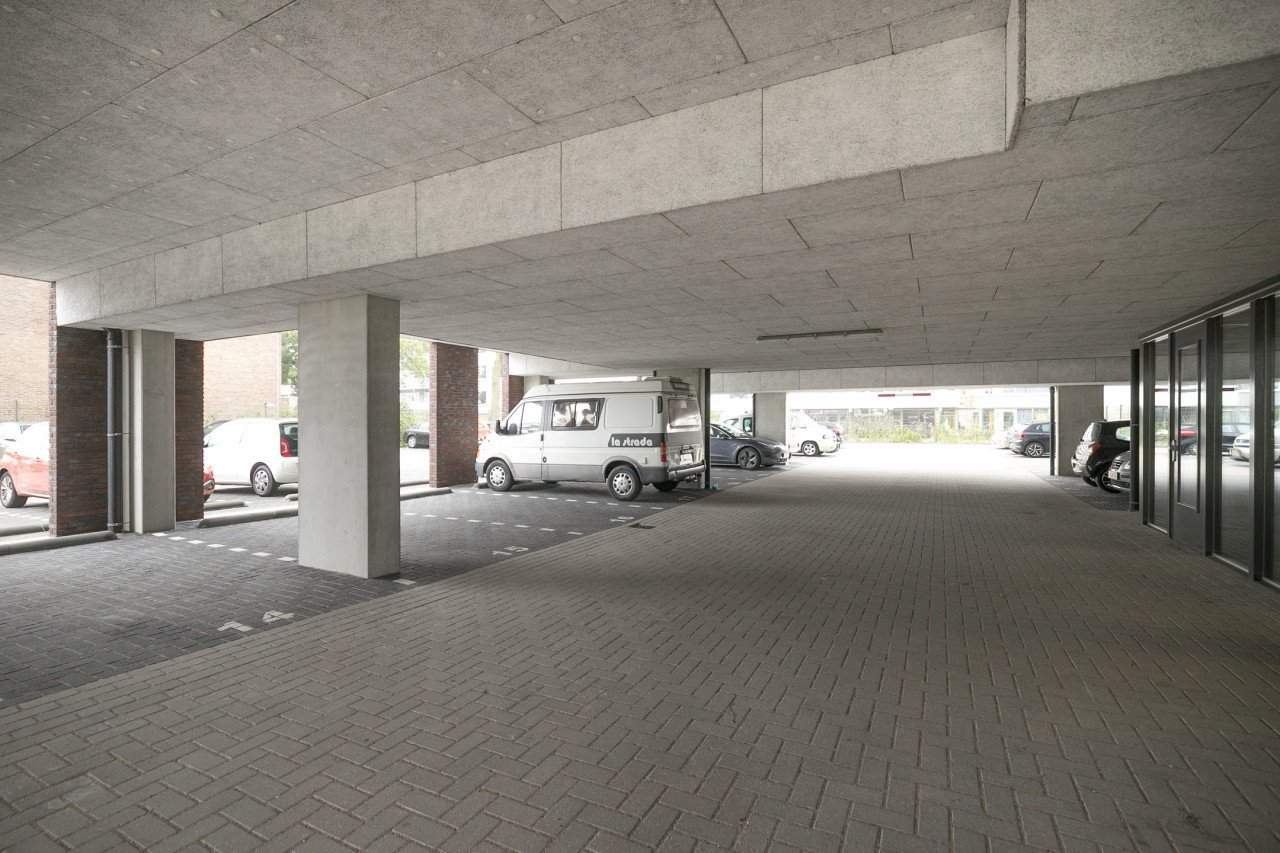 Imagen 19 de 24