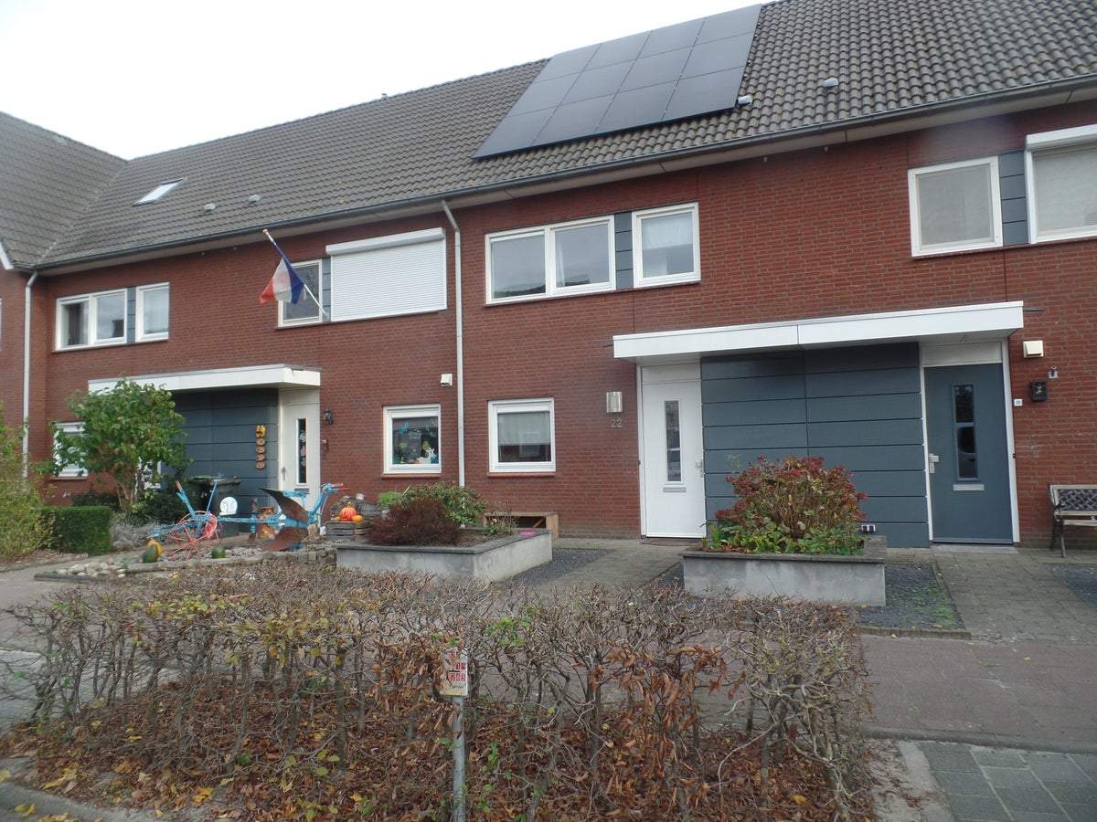 Afbeelding 1 van 29
