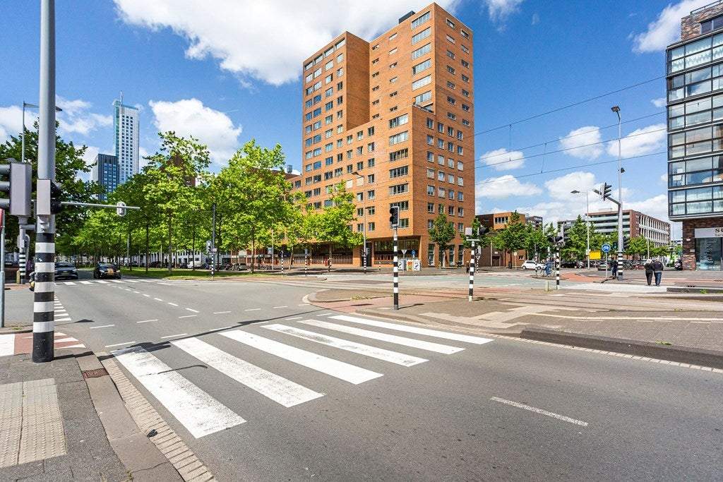 Afbeelding 1 van 16