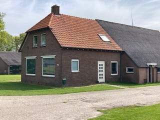 Afbeelding 1 van 12