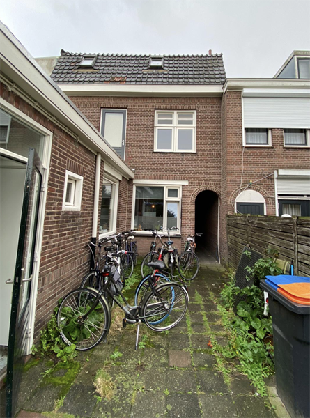 Afbeelding 3 van 14