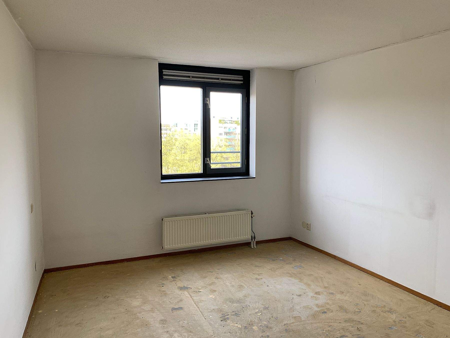 Bild 6 von 8