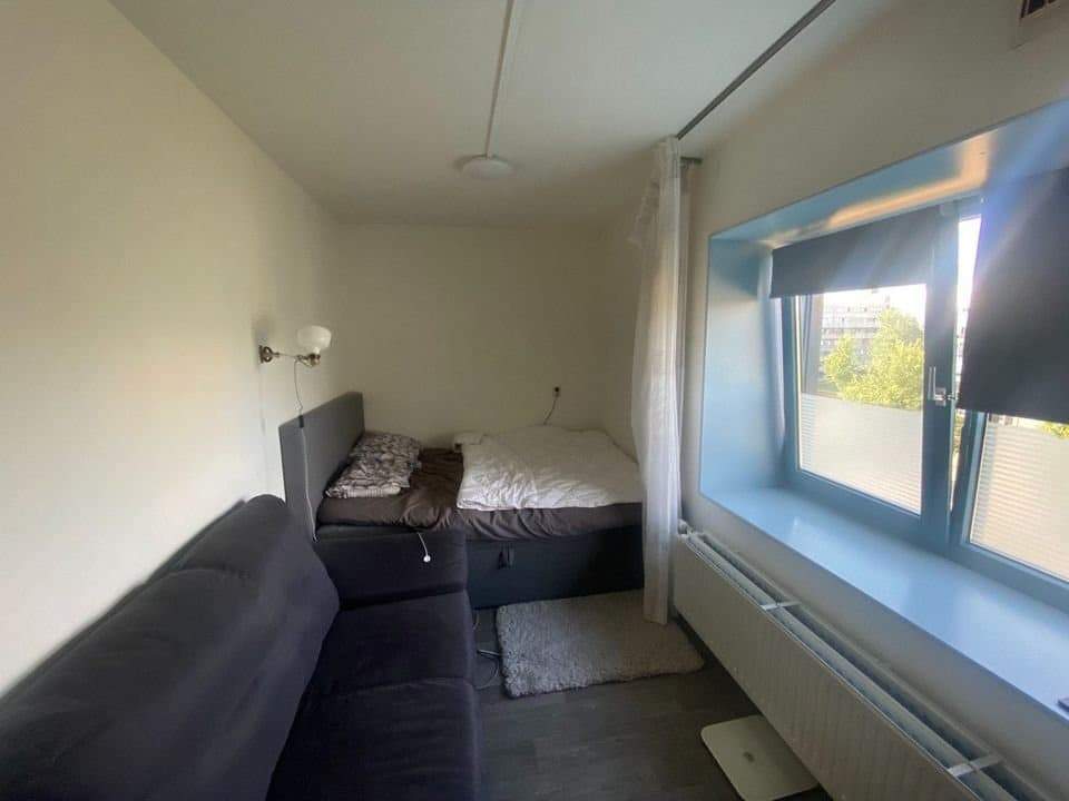 Image 7 of 7